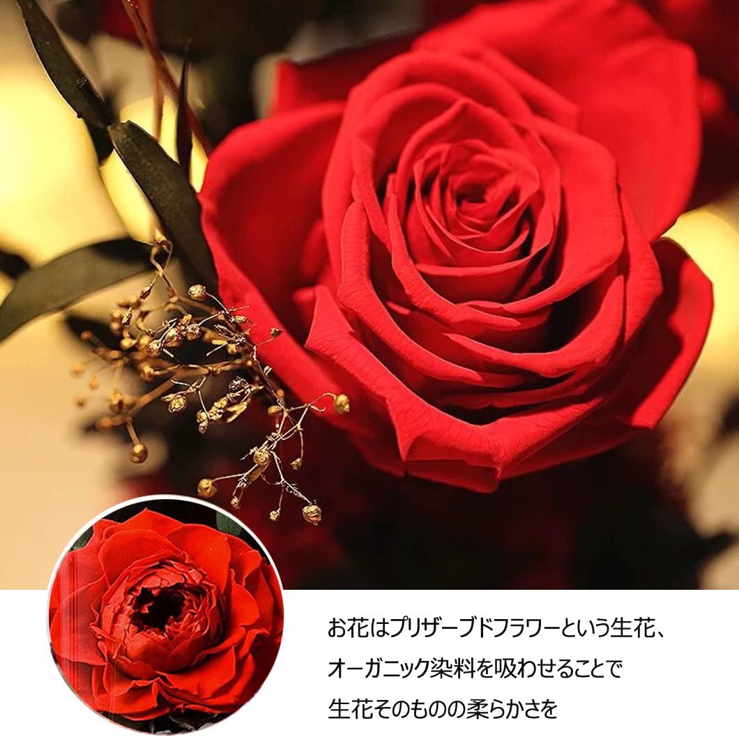 Amazon｜プリザーブドフラワー バラ レッドローズ 薔薇 3カラー 花 LED